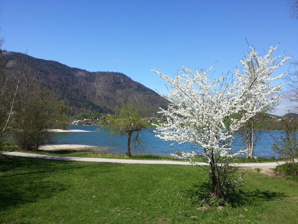 Buchauer-Tirol / Landhaus Buchauer Thiersee Exterior foto